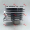 Cylinder Head CG100