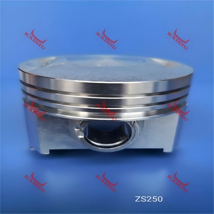 Piston ZS250