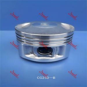 Piston CG250-B