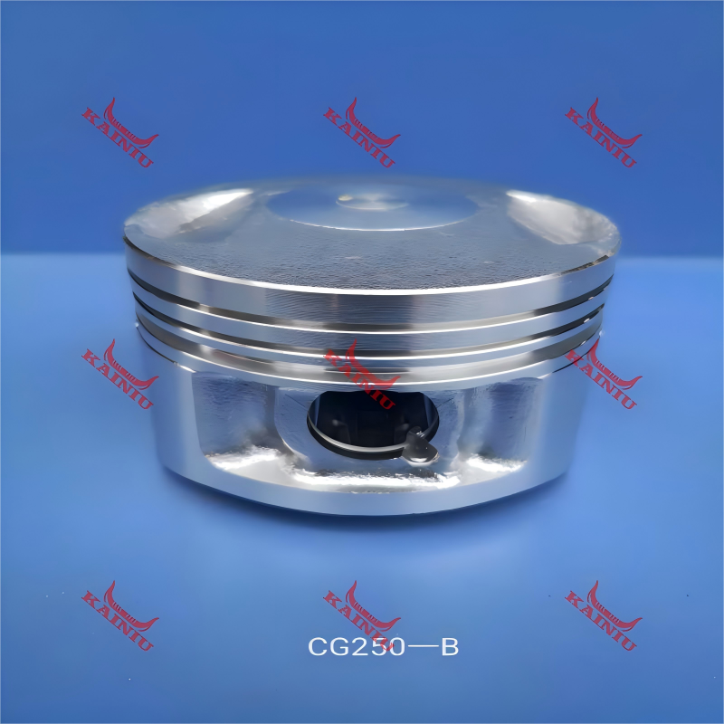 Piston CG250-B