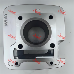 Cylinder Head YBR125