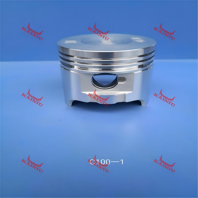 Piston C100-1