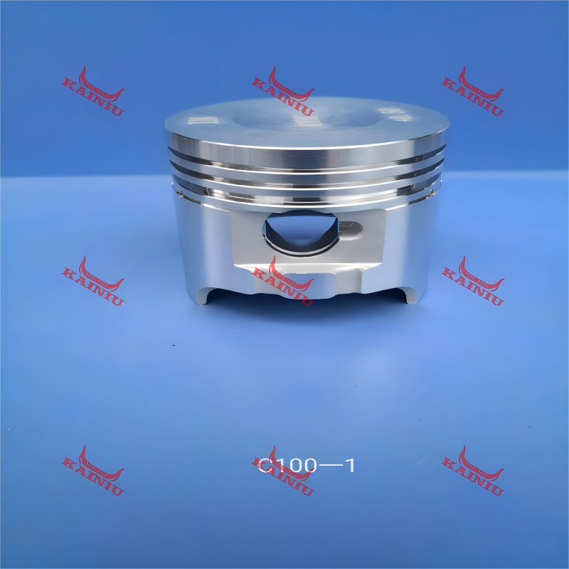 Piston C100-1
