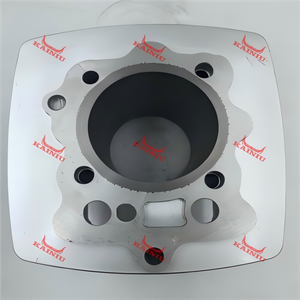 Cylinder Head CG250