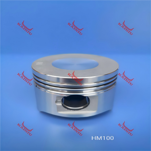 Piston HM100/GY100