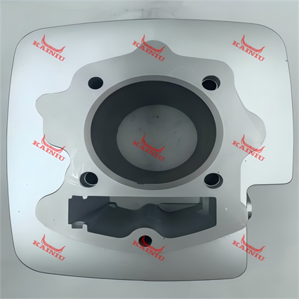 Cylinder Head CB250-8