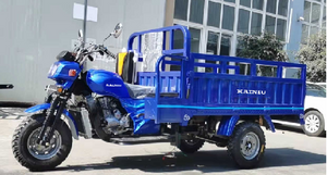 Wuyang Q3 Product Loading Heavy Cheap Tricycle Cargo 