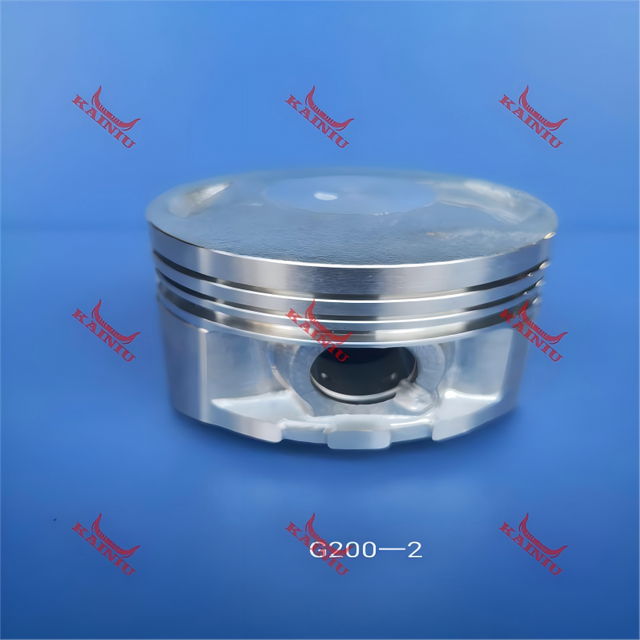 Piston G200-2