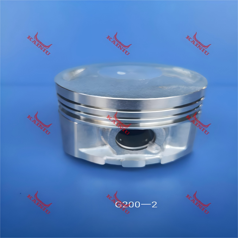 Piston G200-2