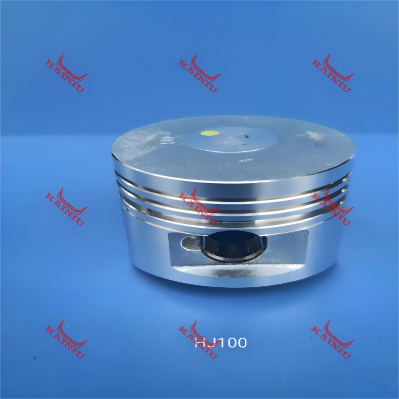 Piston HJ100