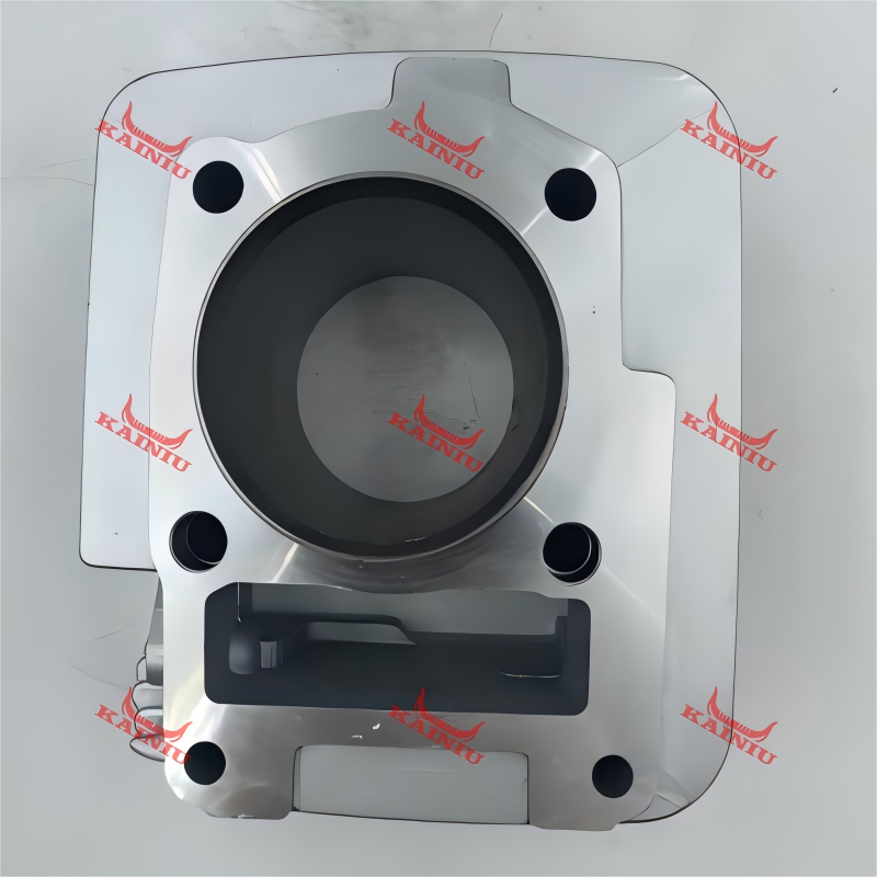 Cylinder Head YBR125