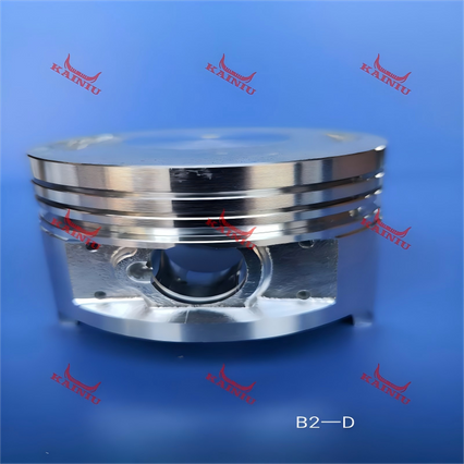 Piston B2-D