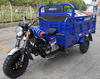 Storm Chopper Motorized Driving Type air-cooling Oil Tricycle 