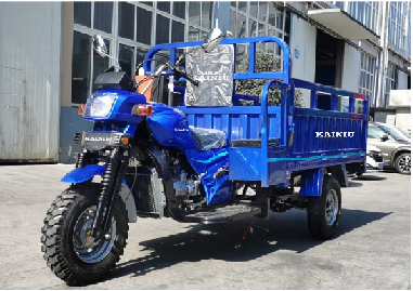 Wuyang Q3 Product Loading Heavy Cheap Tricycle Cargo 