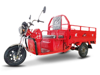 DAYANG IV Electric Tricycle