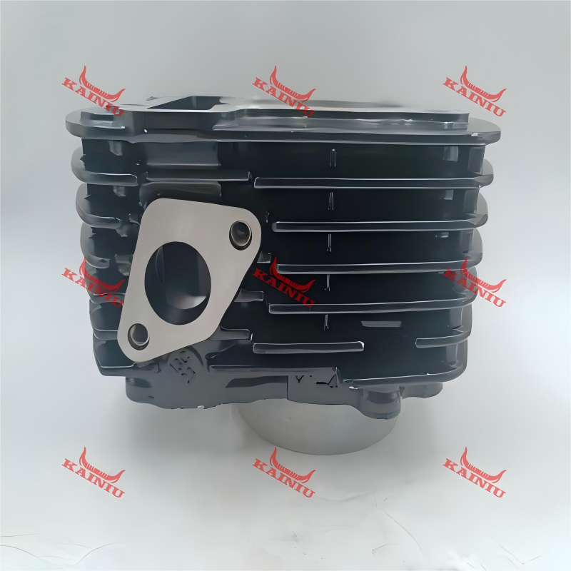 Cylinder Head FZ15