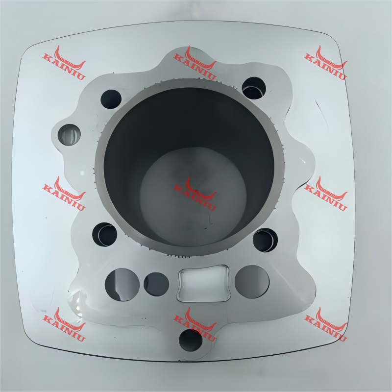 Cylinder Head CG300