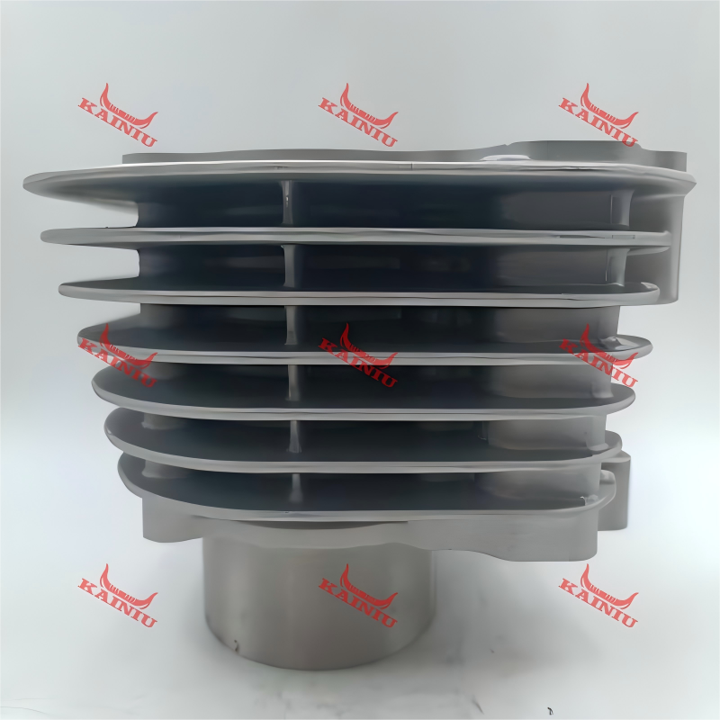 Cylinder Head ATV250