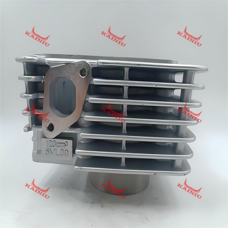 Cylinder Head YBR125