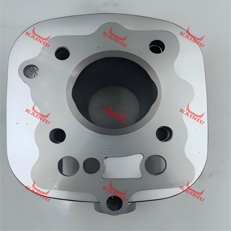 Cylinder Head CG100