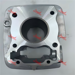 Cylinder Head CBF125