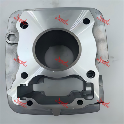 Cylinder Head CBF125