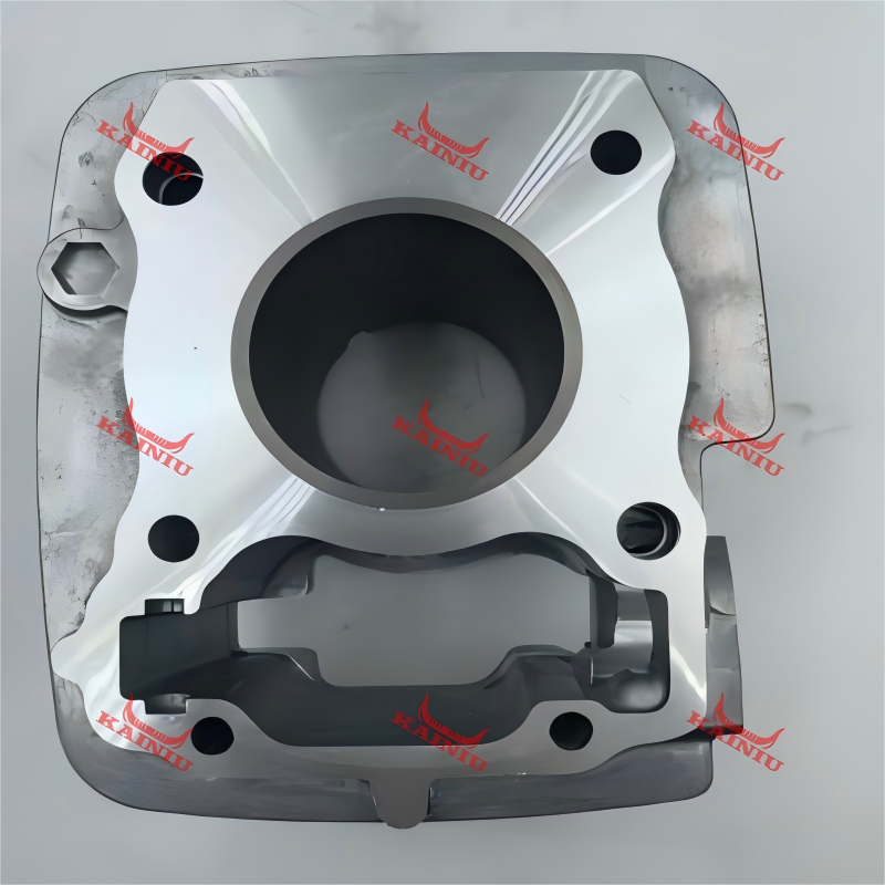 Cylinder Head CBF125