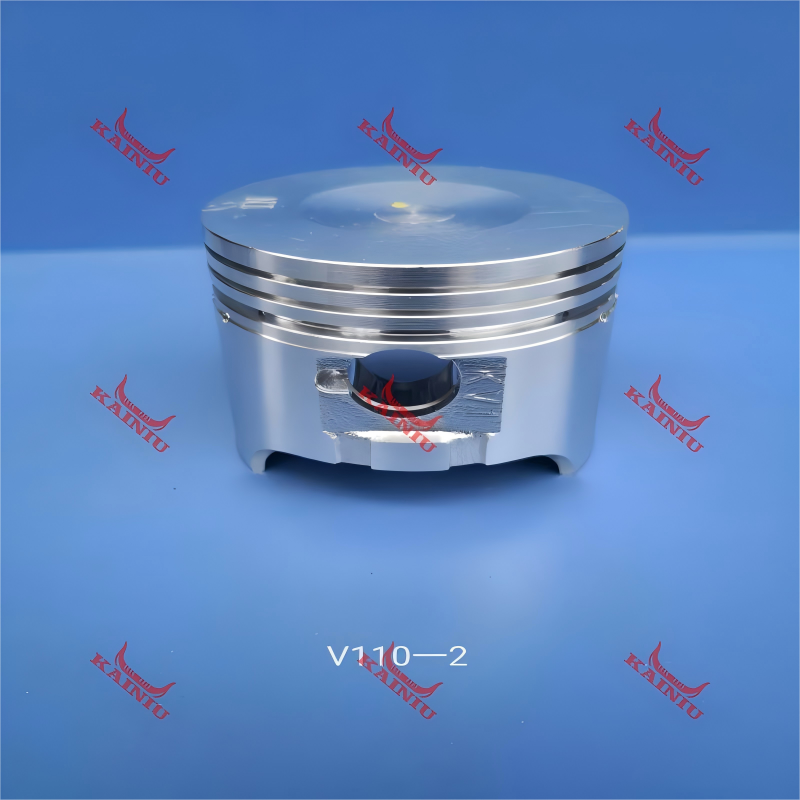Piston V110-2