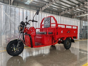 Dayang IV Electric Tricycles New Energy Trucks Motorcycles