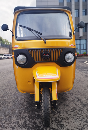 Passenger Tricycle With Double-row Seat - K8 (Dual Type Petrol & CNG)