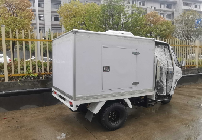 Closed Cargo With Refrigerator Motorcycle Tricycle with Refrigeration Units 