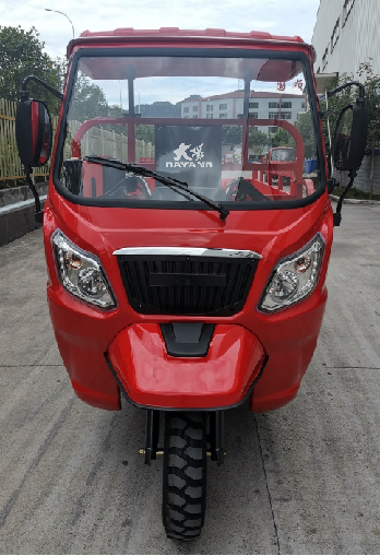 Wuyang With Front Shed Safety and Comfortable 3 Wheel