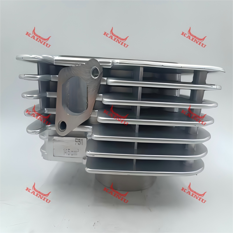 Cylinder Head F51