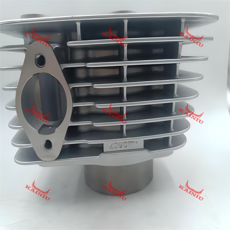 Cylinder Head CBP250