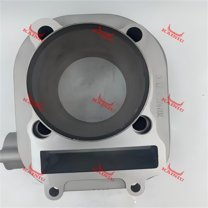 Cylinder Head ATV250