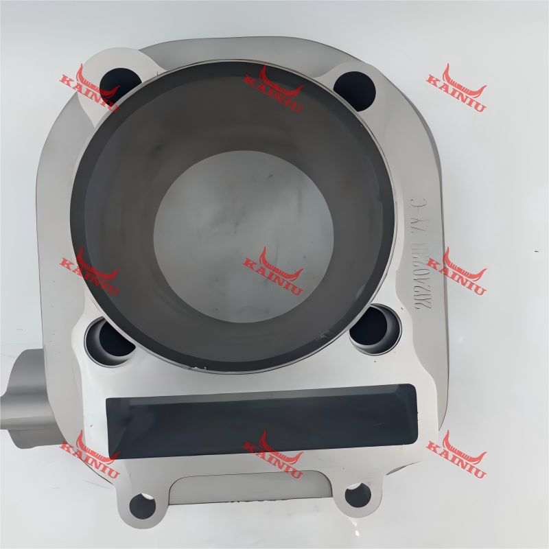 Cylinder Head ATV250