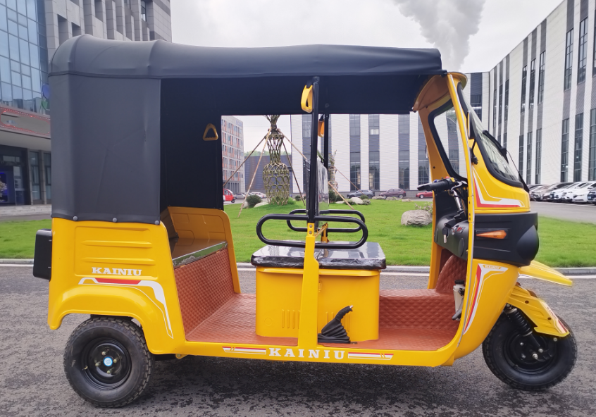 Passenger Tricycle With Double-row Seat - K8 (Dual Type Petrol & CNG)