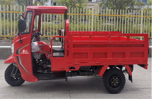 Wuyang With Front Shed Safety and Comfortable 3 Wheel