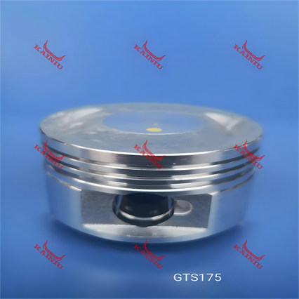 Piston GTS175