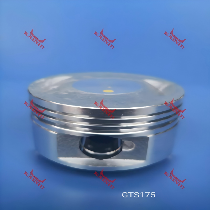 Piston GTS175