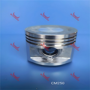 Piston CM250