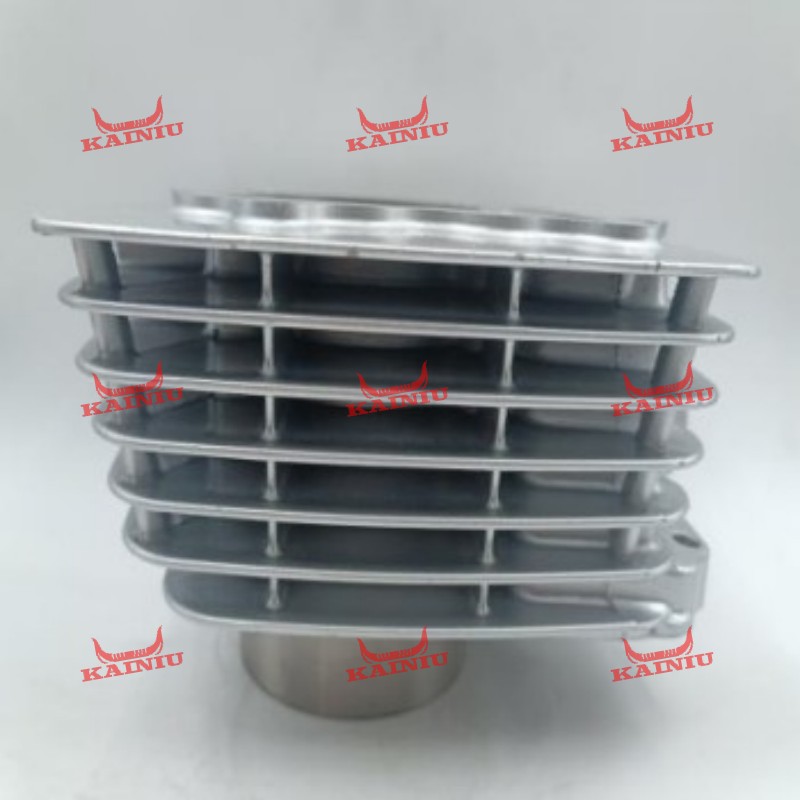 Cylinder Head CG150-2