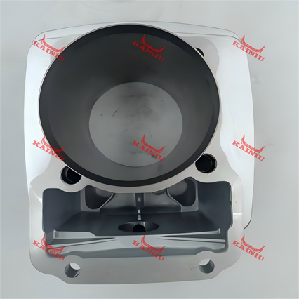 Cylinder Head CGF250