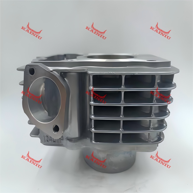 Cylinder Head CBF125