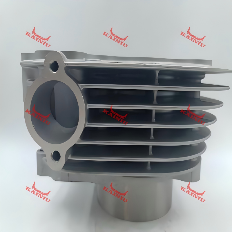 Cylinder Head ATV250