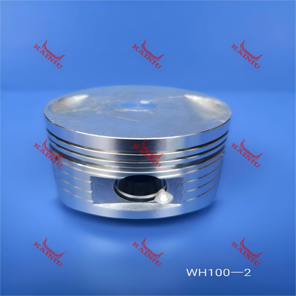 Piston WH100-2