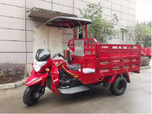 Ruiteng With exclusive Roofshed Good Quaity water-Cooled Engine