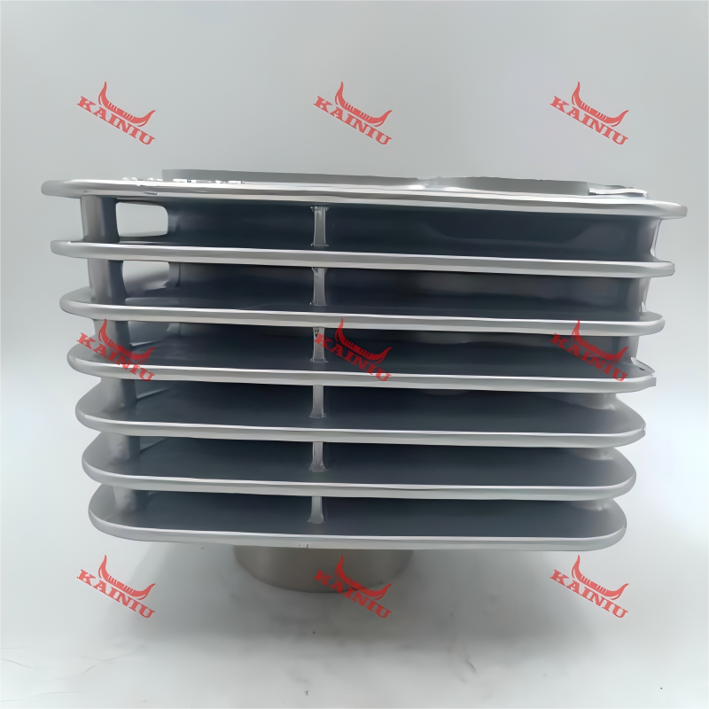 Cylinder Head YBR125