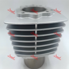 Cylinder Head CG300