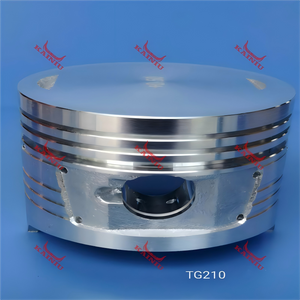 Piston TG210